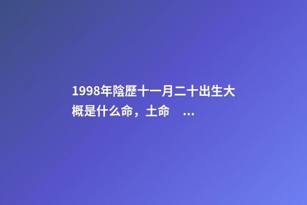 1998年陰歷十一月二十出生大概是什么命，土命？ 2022年農歷11月20九點34分是什么命-第1張-觀點-玄機派
